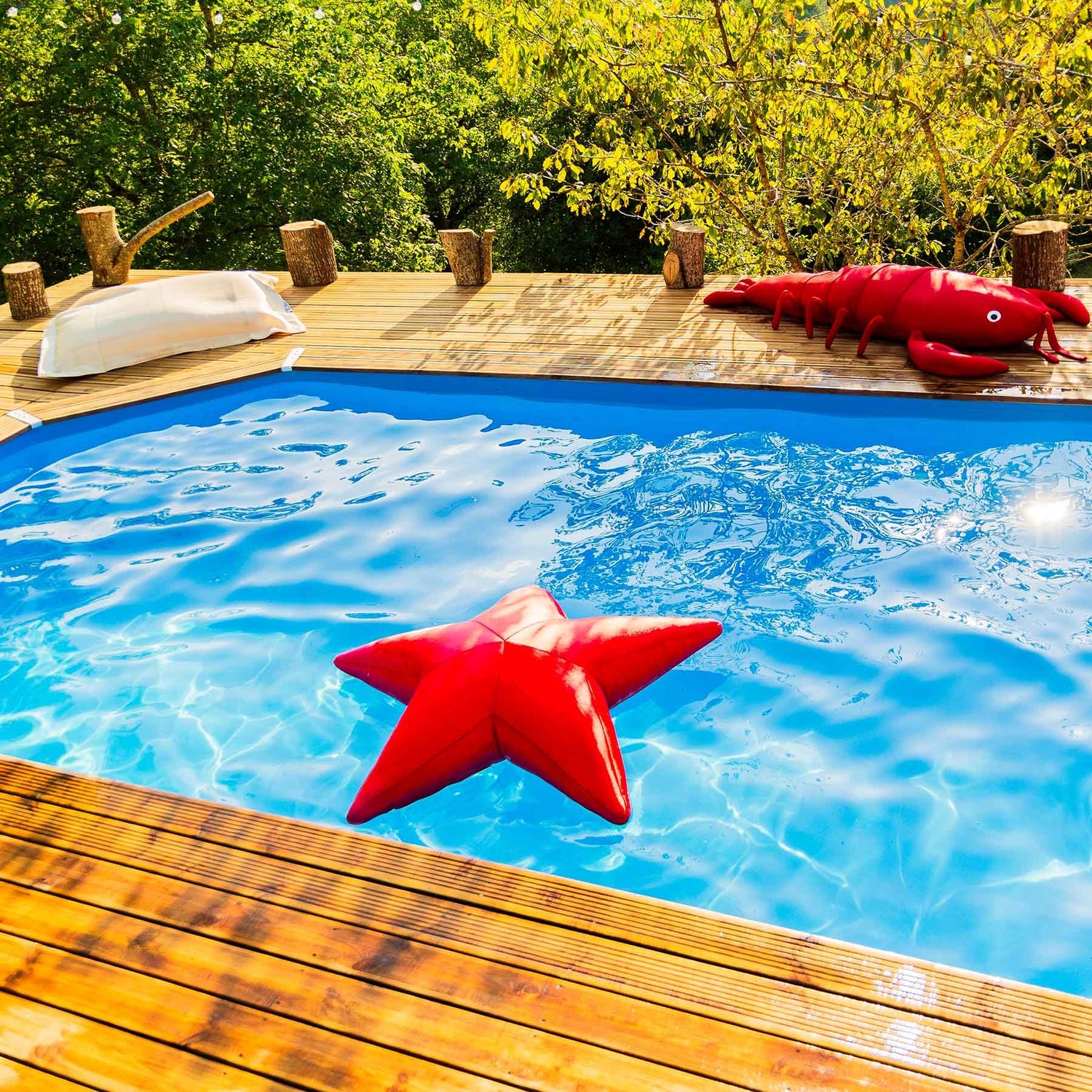 Pouf Piscine, Étoile de Mer Rouge