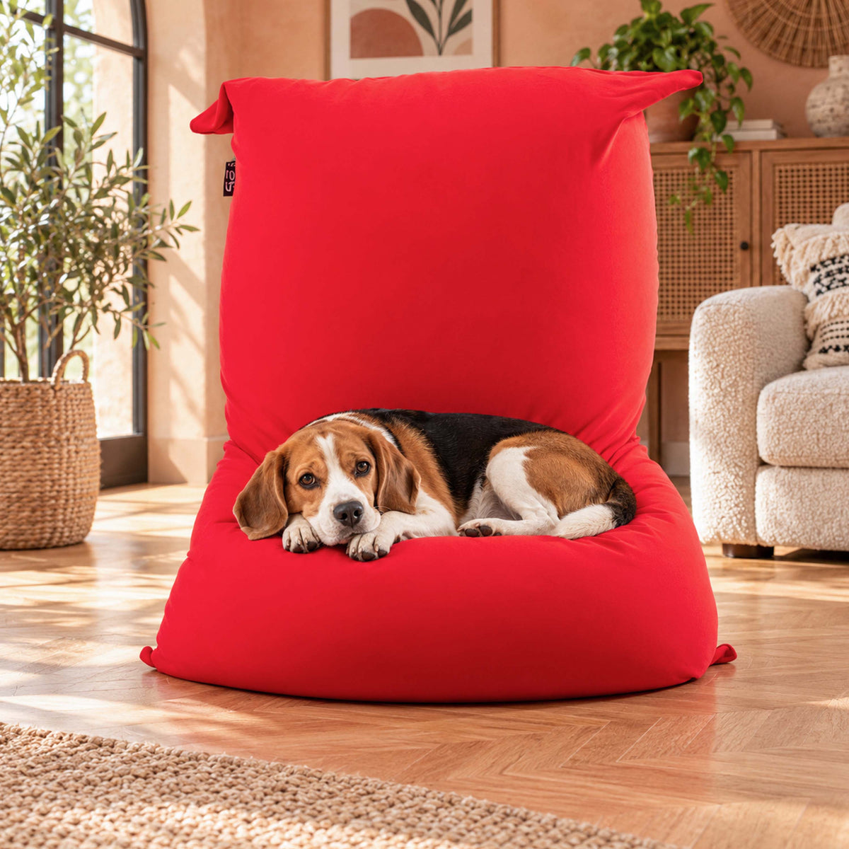 Pouf géant intérieur stretch rouge BiG52, grande assise confortable pour salon ou chambre, avec chien lové dessus
