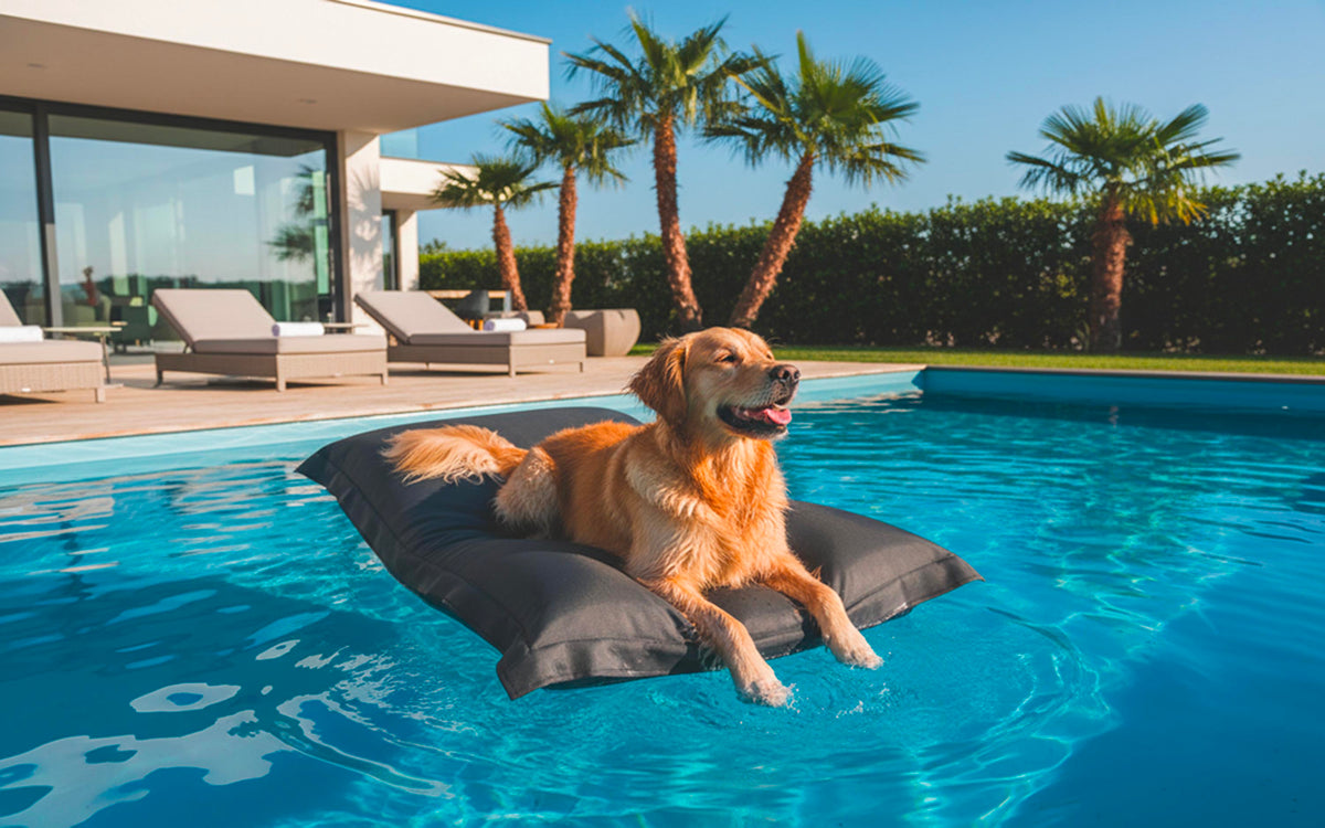 Pouf Piscine Gris Anthracite BiG52 déhoussable, à billes de polystyrène flottant pour piscine, idéal détente au bord de l’eau