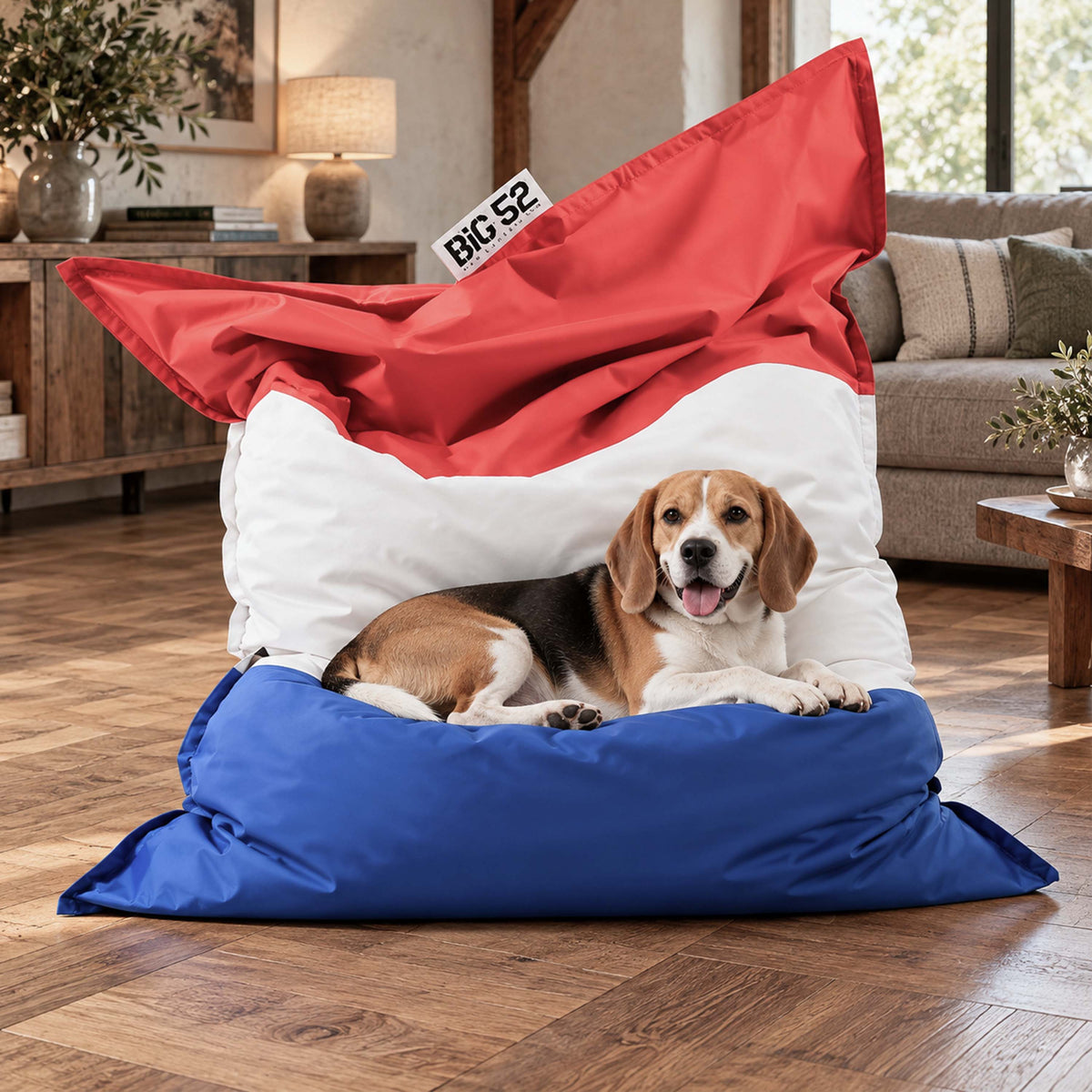 Pouf géant drapeau français déhoussable BiG52, assise confortable avec impression HD, en intérieur avec chien et drapeau FR