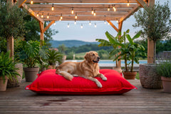 Pouf Extérieur Rouge IRON RAW XXL 170x130 cm, extérieur, ambiance lumineuse avec chien sur pouf rouge