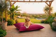 Pouf Extérieur Prune IRON RAW XXL 170 x 130 cm sur terrasse, jardin verdoyant avec chien