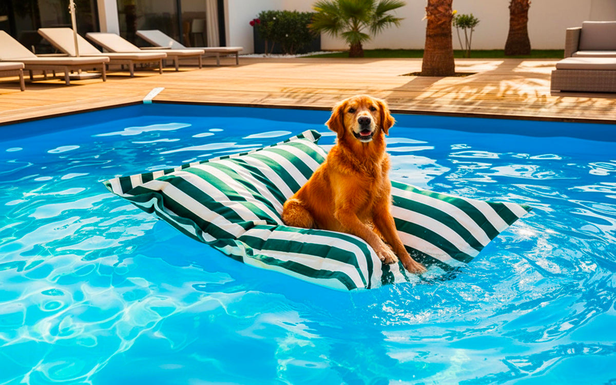 Pouf Piscine Vert Rayé Deauville : pouf géant rayé vert sur matelas flottant au bord de la piscine avec chien